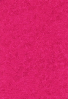 Spraytime Raspberry